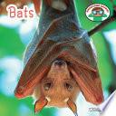 Bats cover
