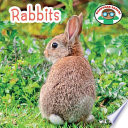 Rabbits cover