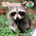 Raccoons cover