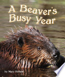 The Beavers' Busy Year cover