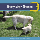 Danny Meets Norman cover
