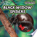 Black Widow Spiders cover
