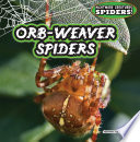 Orb-Weaver Spiders cover