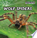 Wolf Spiders cover