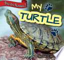 My Turtle cover