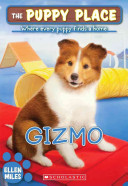 Gizmo cover