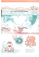 Animals in Action cover