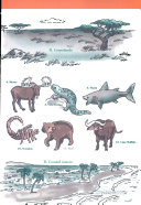Dangerous Animals cover