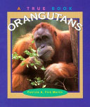 Orangutans cover