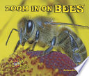 Zoom In on Bees cover