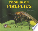 Zoom In on Fireflies cover