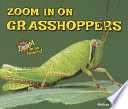 Zoom In on Grasshoppers cover