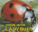Zoom In on Ladybugs cover
