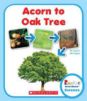 Acorn to Oak Tree cover