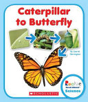 Caterpillar to Butterfly cover
