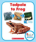 Tadpole to Frog cover