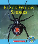 Black Widow Spiders cover