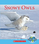 Snowy Owls cover