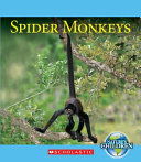 Spider Monkeys cover