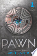 Pawn cover
