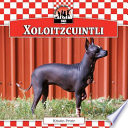 Xoloitzcuintli cover