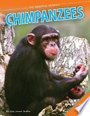 Chimpanzees cover