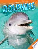 Dolphins cover