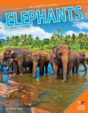Elephants cover