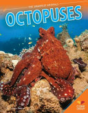 Octopuses cover