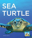 Sea Turtle cover
