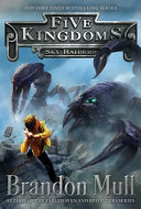 Sky Raiders cover
