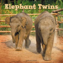 Elephant Twins cover