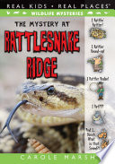 The Mystery at Rattlesnake Ridge cover