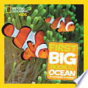 First Big Book of the Ocean cover