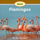 About Flamingos cover