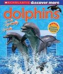 Dolphins cover