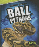 Ball Pythons cover