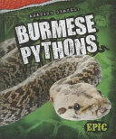 Burmese Pythons cover