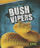 Bush Vipers cover