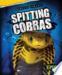 Spitting Cobra cover