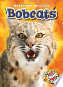 Bobcats cover