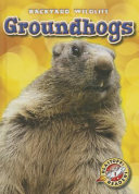 Groundhogs cover