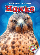 Hawks cover