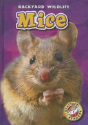 Mice cover