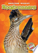 Roadrunners cover
