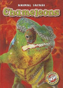 Chameleons cover