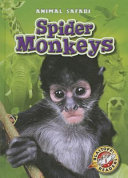 Spider Monkeys cover