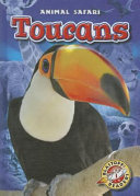 Toucans cover