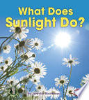 What Does Sunlight Do? cover