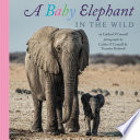 A Baby Elephant in the Wild cover